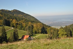 Hefteralm